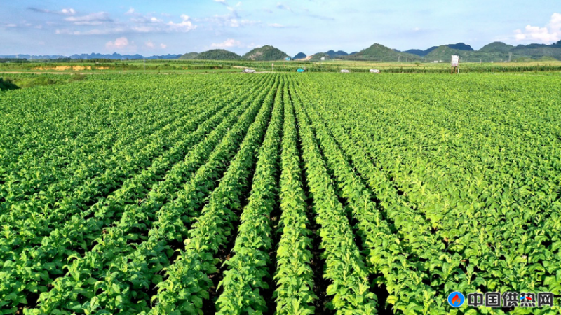 微信圖片_20210317110503