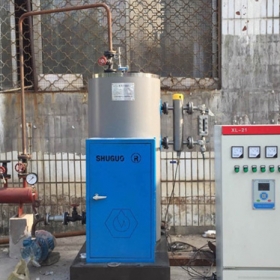 LDR系列電蒸汽鍋爐