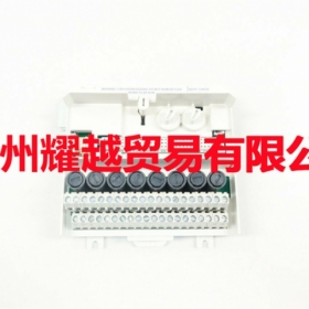 ABB DDI03    cpu   我們一直在努力