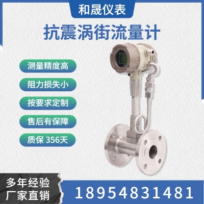 IC卡蒸汽流量計(jì) 氮?dú)鈮嚎s氣體專(zhuān)用 防震動(dòng)渦街 智遠(yuǎn)儀表