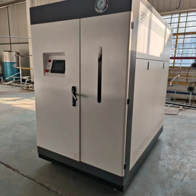 燃?xì)庹羝l(fā)生器加工制造小型蒸汽鍋爐高效節(jié)能省錢(qián)支持定制瀚博