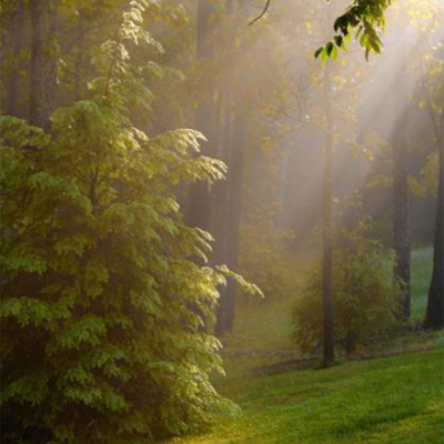 石墨烯取暖器家用墻暖壁畫電暖器  客廳臥室裝飾壁掛式電暖畫