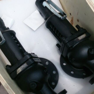 阿姆斯壯安全閥496-AP 美國微啟式安全閥