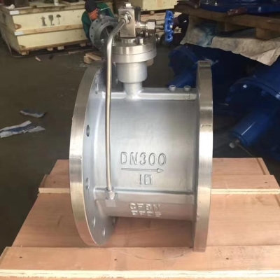 不銹鋼對(duì)夾式蝶形止回閥 不銹鋼止回閥